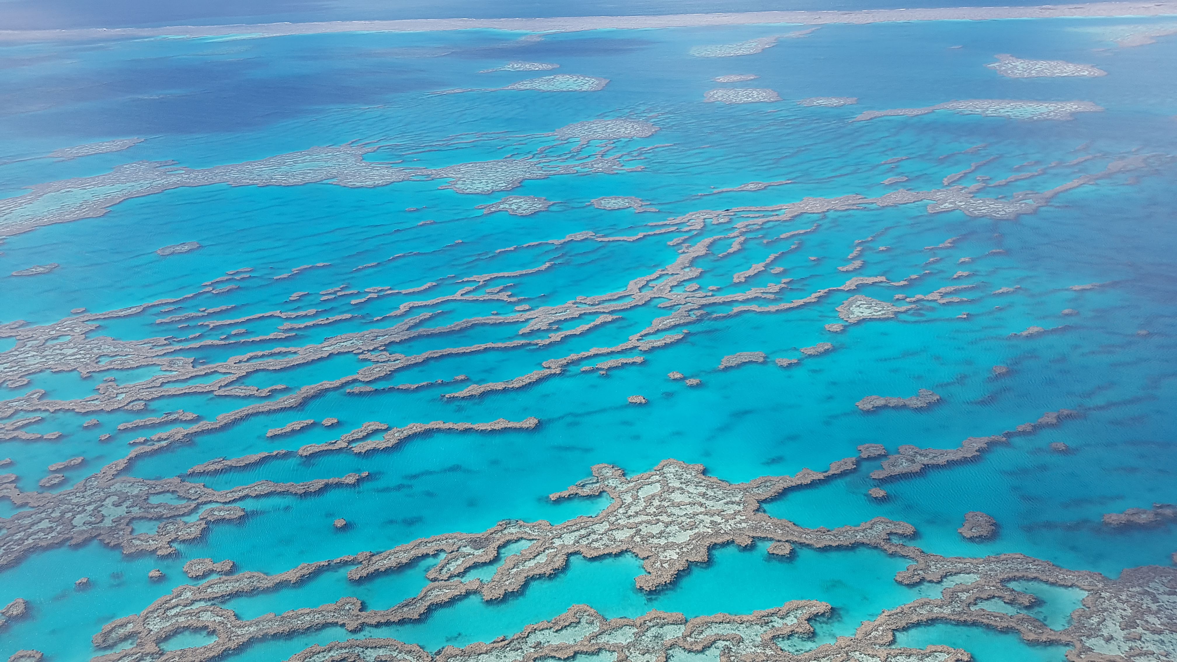 View from my window when flying over the Great Barrier Reef